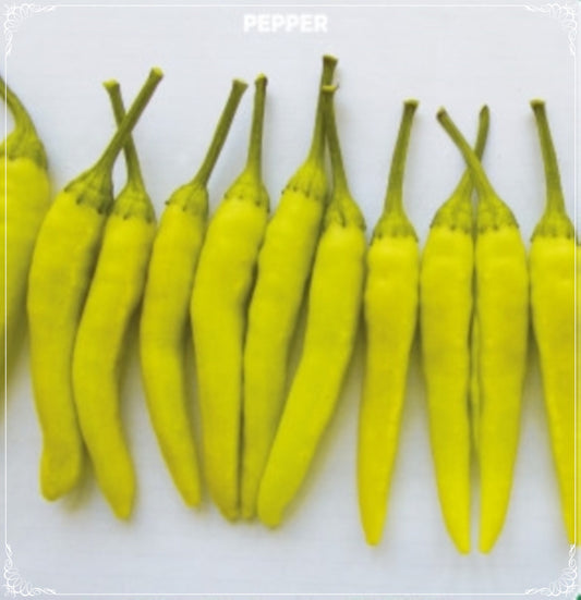 100 Seeds Yellow Upward Edible Ornamental Gin Pepper Seed, Cayenne Chili, Medusa Natural, Non GMO, Heirloom