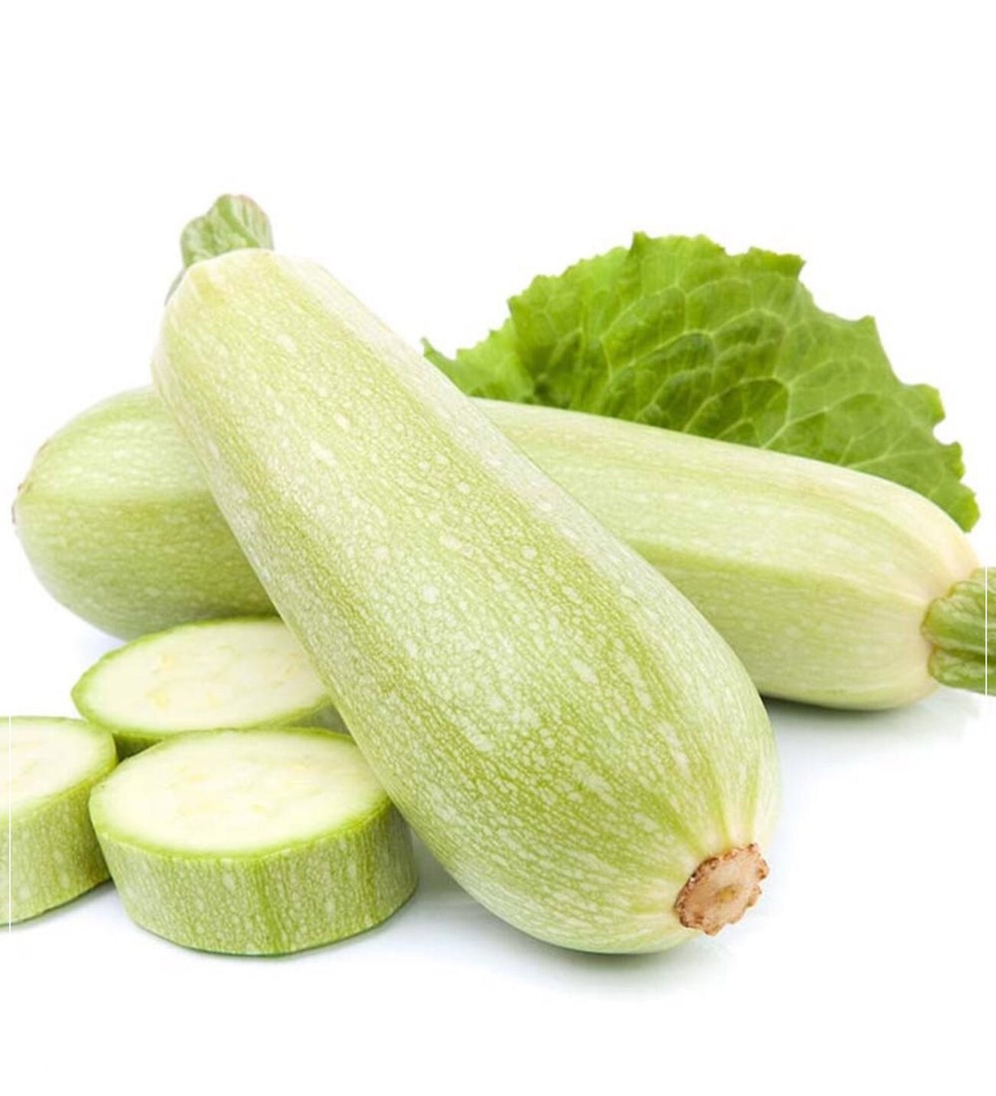 20 Seeds White Zucchini Seeds, Summer Squash Seeds, Vegetable, Natural, Non GMO, Heirloom