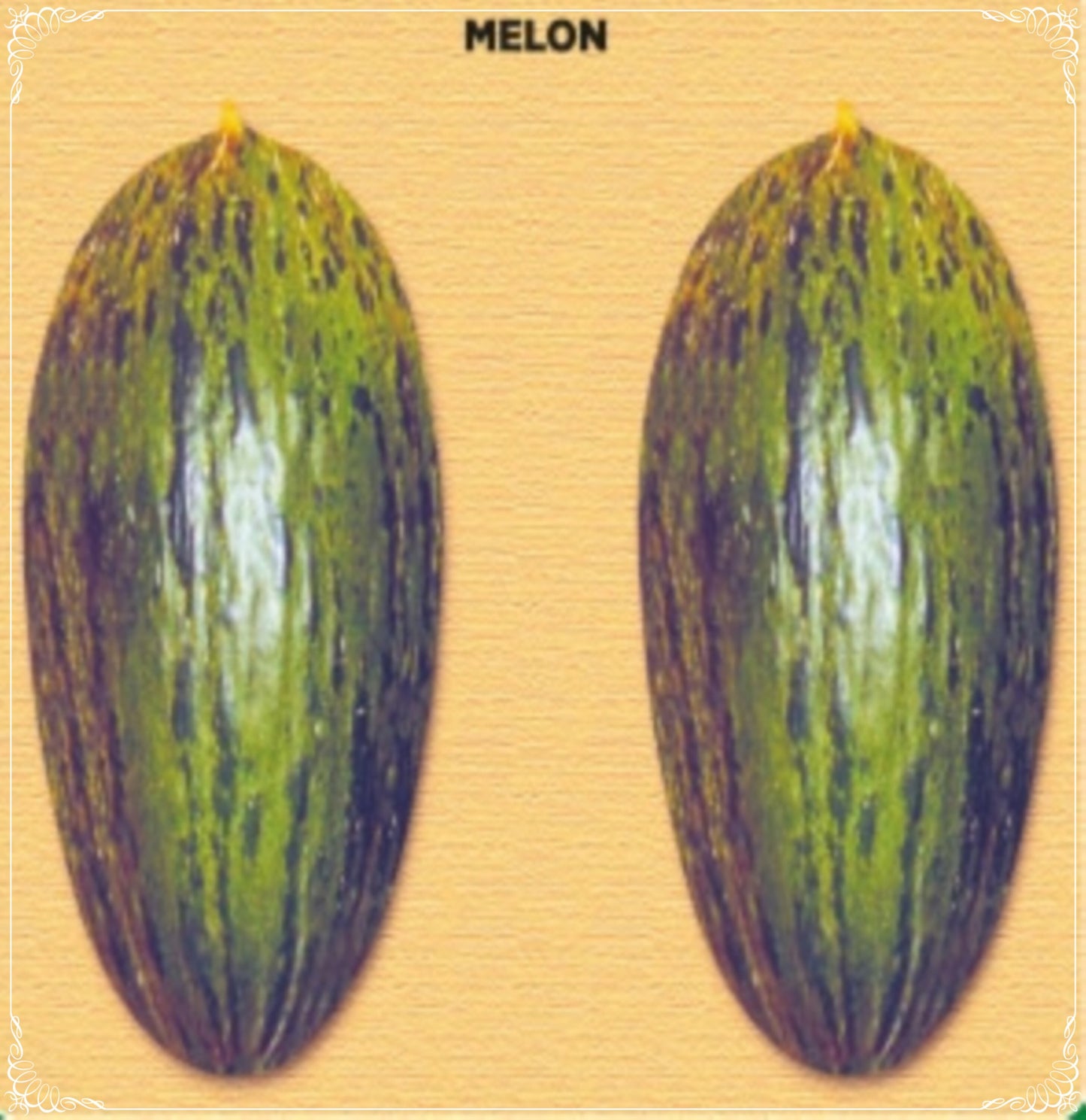 25 Seeds Pickling Melon Seed, Little Juicy Melon, Natural, Non GMO, Heirloom