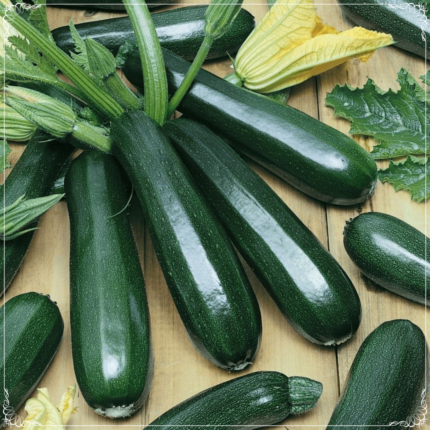 20 Seeds Black Zucchini Seeds, Summer Squash, Vegetable, Natural, Non GMO, Heirloom