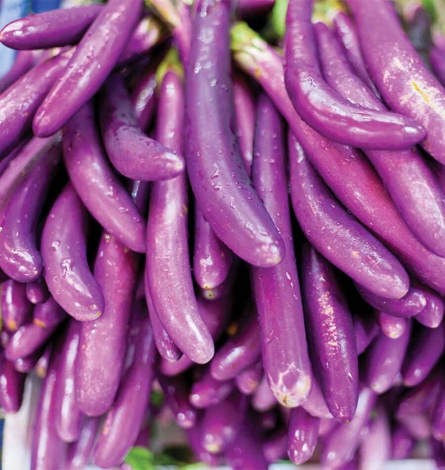 100 Seeds Monkey Eggplant, Long Purple Eggplant, Thai Vegetable, Natural, Non GMO