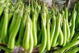 50 Seeds Long Green Eggplant, Tomahawk Thai Eggplant, Natural, Non GMO