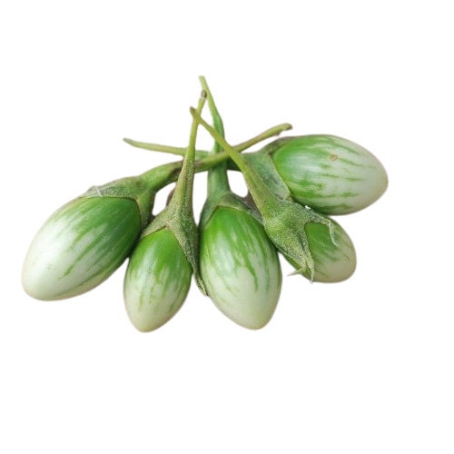 50 Seeds Green Turtle Eggplant, Thai Vegetable, Small Brinjal, Natural, Non GMO