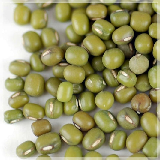 50 Seeds Mung Beans, Moong Dal, Green Gram, Balatong, Natural, Non GMO