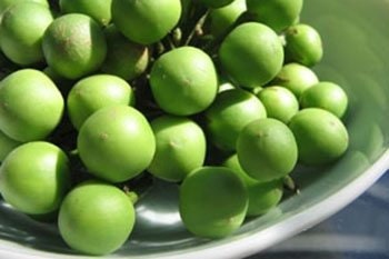 25 Seeds Thornless Pea Eggplant, Green Jade Bunch Eggplant, Pheuang Phueang Manee, Thai Vegetable