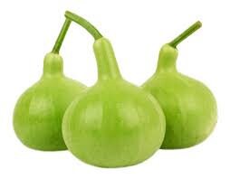 5 Seeds Round Bottle Gourd, Thai Squash, Calabash, Natural, Non GMO