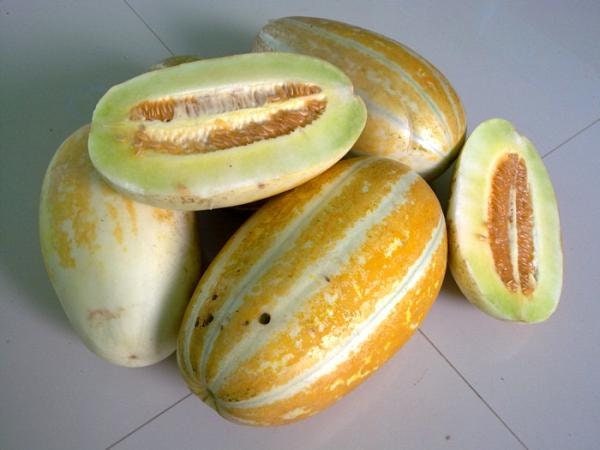 10 Seeds Golden Thai Melon, Singapore Melon, Natural, Non GMO