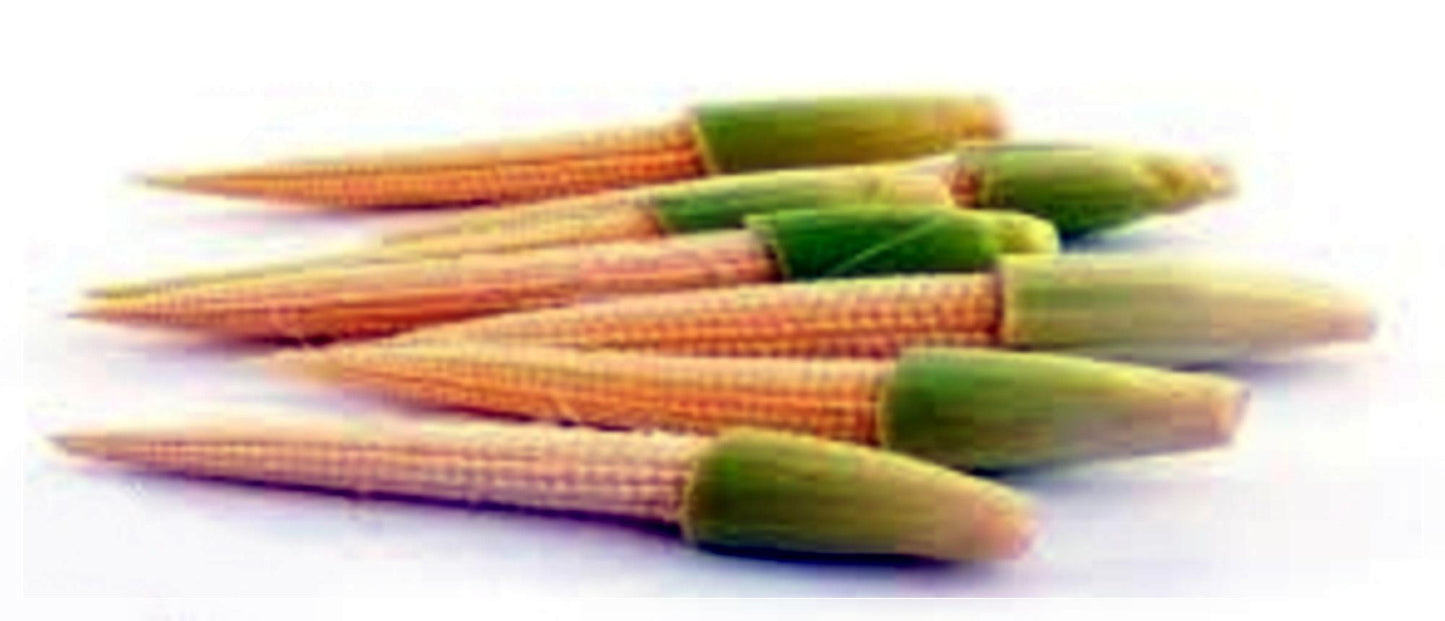 10 Seeds Baby Corn Seeds, F1 Thai Candle Young Corn, Non Gmo