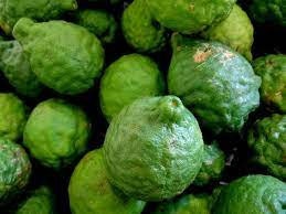 5 Seeds Fragrant Kaffir Lime, Kieffer Lemon Tree, Makrut, Magrood, Thai Local, Natural, Non GMO