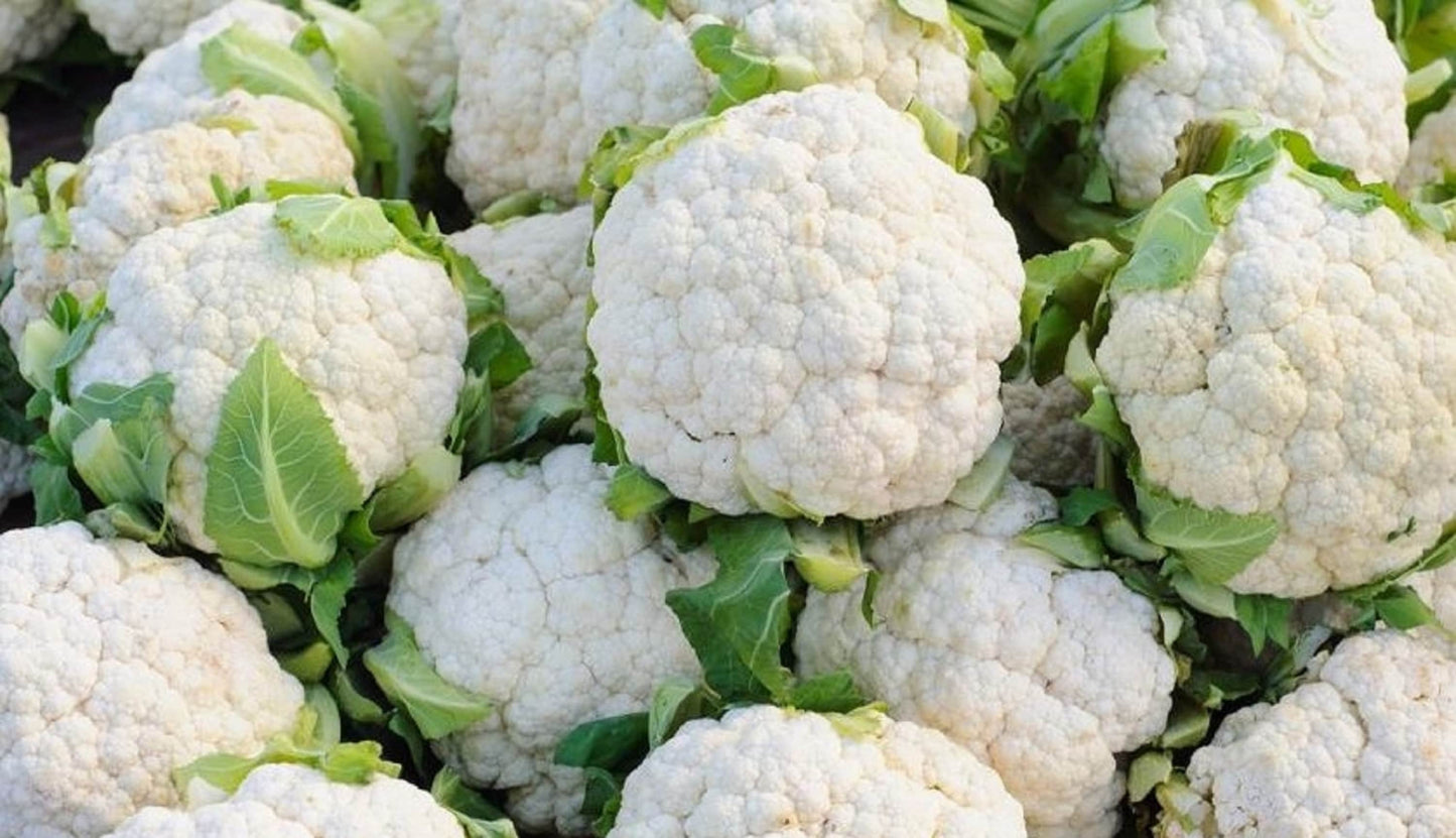 100 Seeds Igloo Cauliflower Seed, Snowball Y, Natural, Non GMO, Heirloom