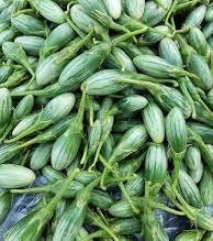 20 Seeds Rugby Frog Eggplant, Green Drop Thai Green Eggplant, Natural, Non GMO