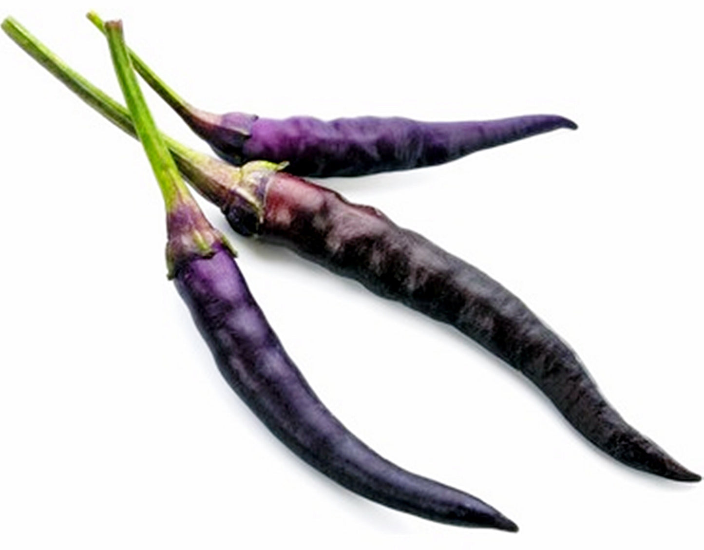 50 Seeds Purple Gin Pepper, Cayenne Chili, Natural, Non GMO