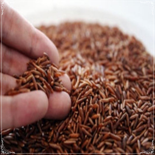 10 Seeds Red Rice Seed, Grain, Edible, Natural, Non GMO, Heirloom