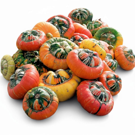 5 Seeds Turk’s Turban Gourd Seeds, Heirloom Turk’s Cap Squash Seeds; Decorative, Edible Squash for Baking, Stuffing
