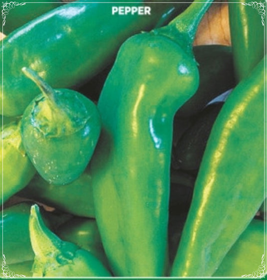 100 Seeds Jalapeno Pepper Seed, Huachinango, Fat Chili, Dark Green Natural, Non GMO, Heirloom