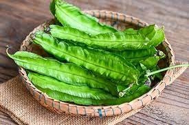 5 Seeds Green Winged Beans, Dragon Bean, Thai Vegetable, Natural, Non GMO