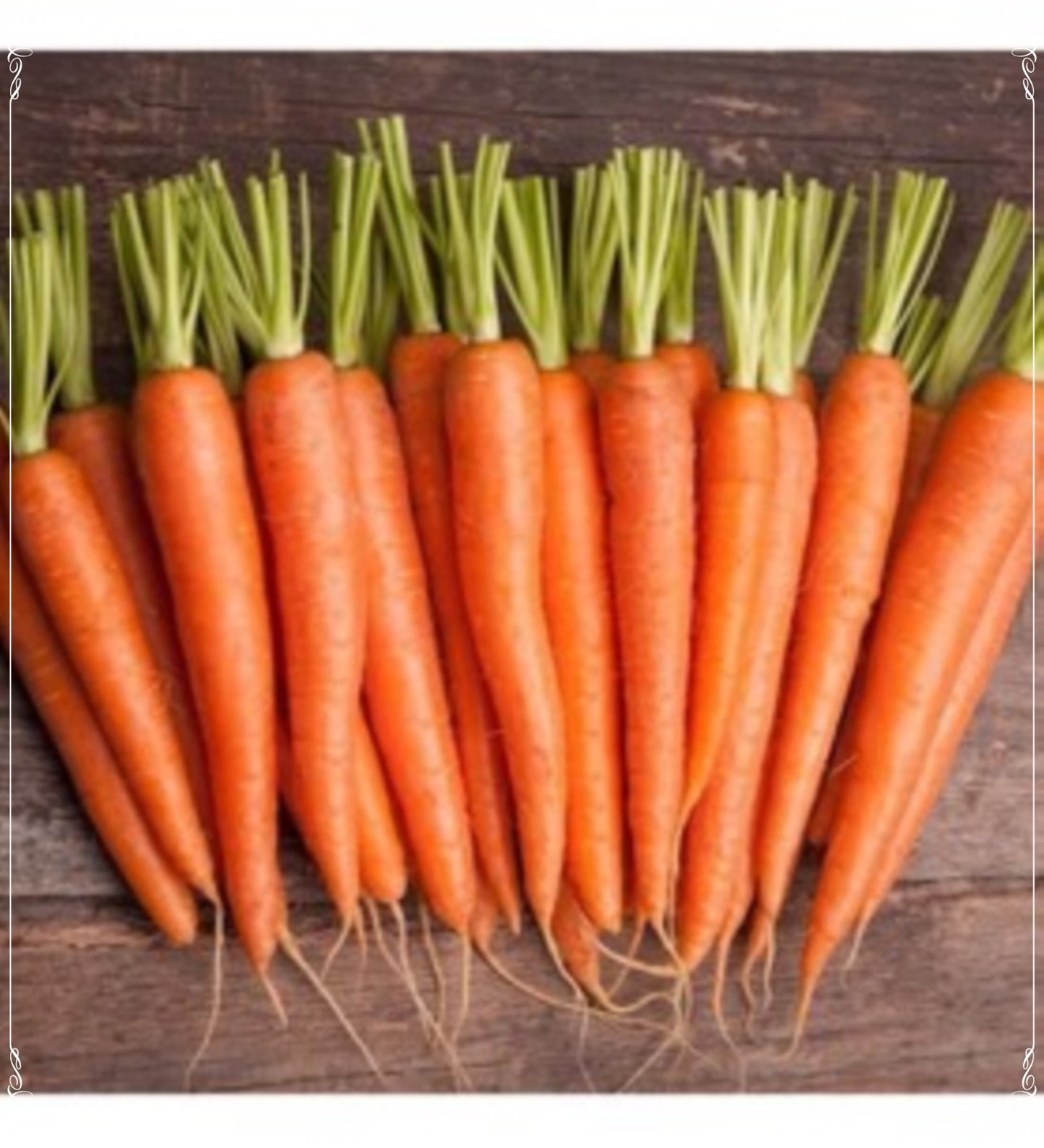500 Seeds Scarlet Nantes Carrot Seed, Orange Carrot, Natural, Non GMO, Heirloom