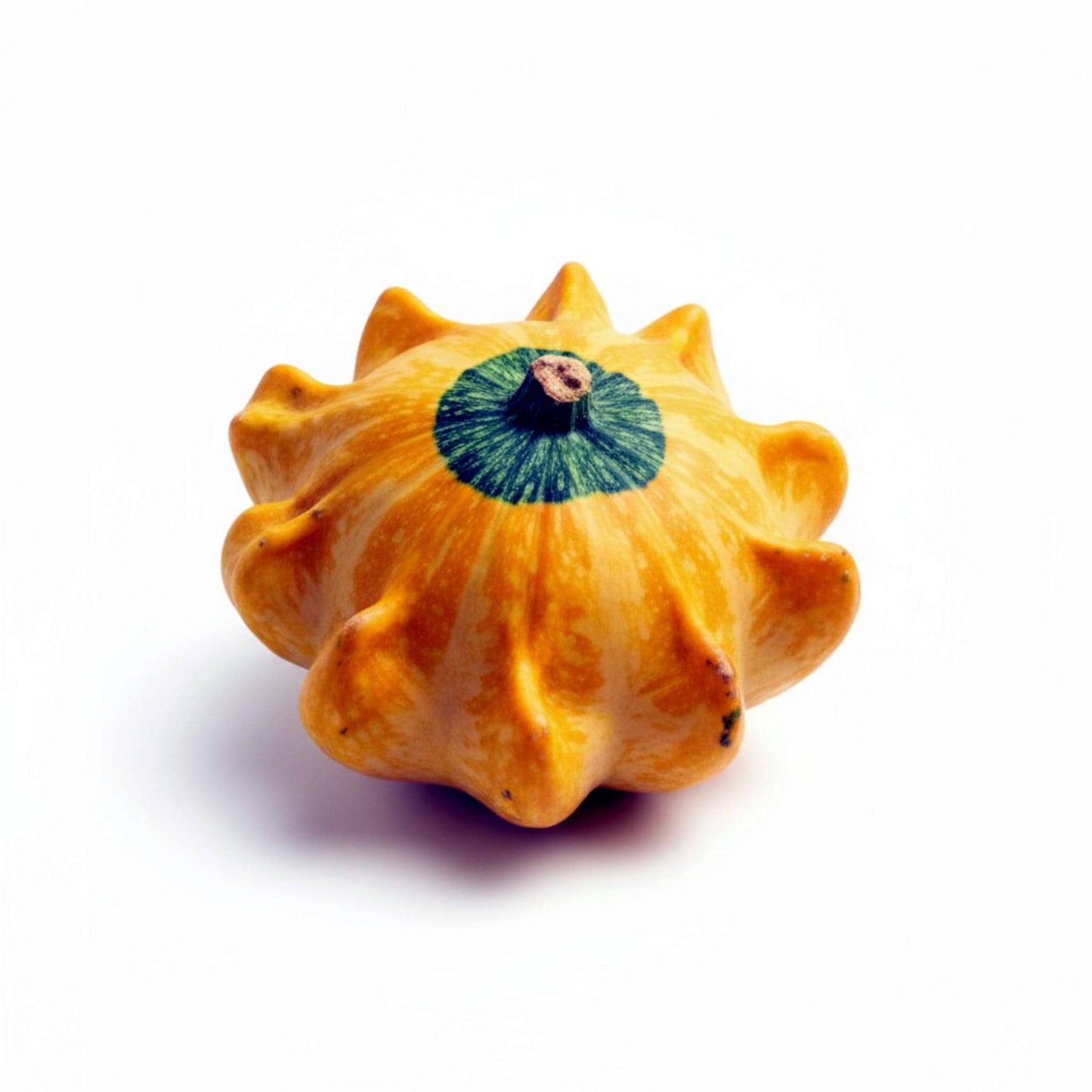 5 Seeds Crown of Thorns Shenot Gourd Seeds, Heirloom Non‑GMO Ornamental Gourds for Decorative Fall Displays and Crafting