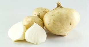 5 Seeds Yam Bean, Thai Vegetables, Jicama, Mexican Turnip Potato, Natural, Non GMO