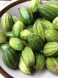 5 Seeds Mini Ridge Gourd, Luffa, Manoi Om Am, Thai Sponge Angled Loofah, Square Zucchini, Prolific