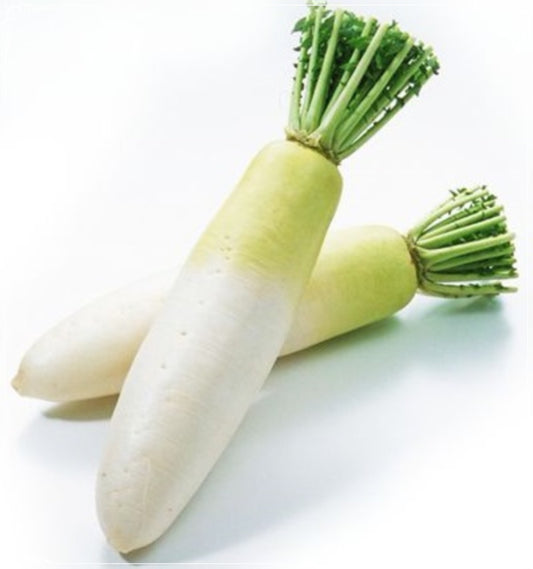 100 Seeds Long White Radish Seed, Japanese Radish, Daikon, Natural, Non GMO, Heirloom