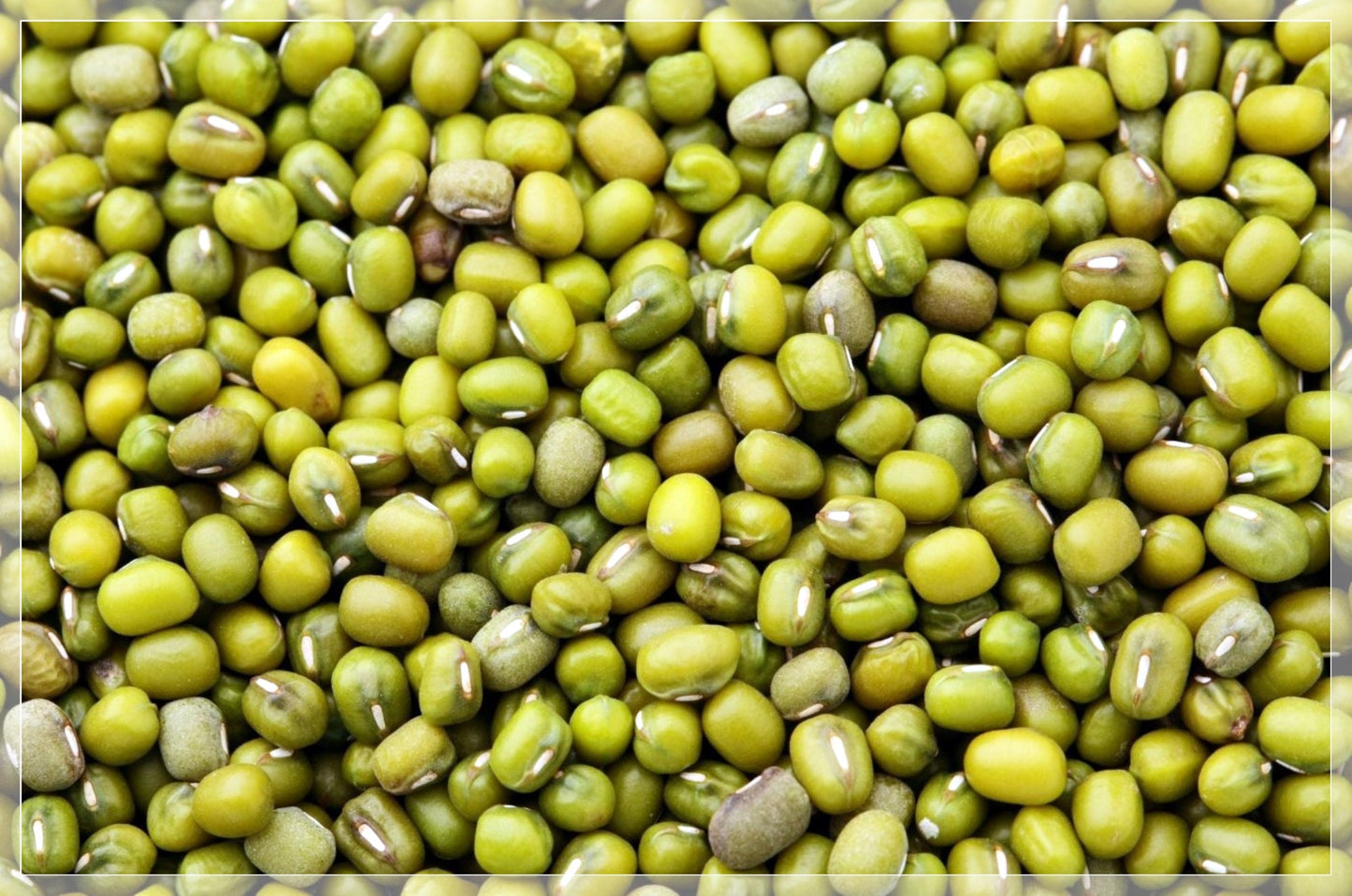 50 Seeds Mung Beans, Moong Dal, Green Gram, Balatong, Natural, Non GMO