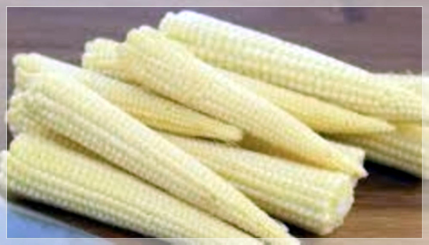 10 Seeds Baby Corn Seeds, F1 Thai Candle Young Corn, Non Gmo