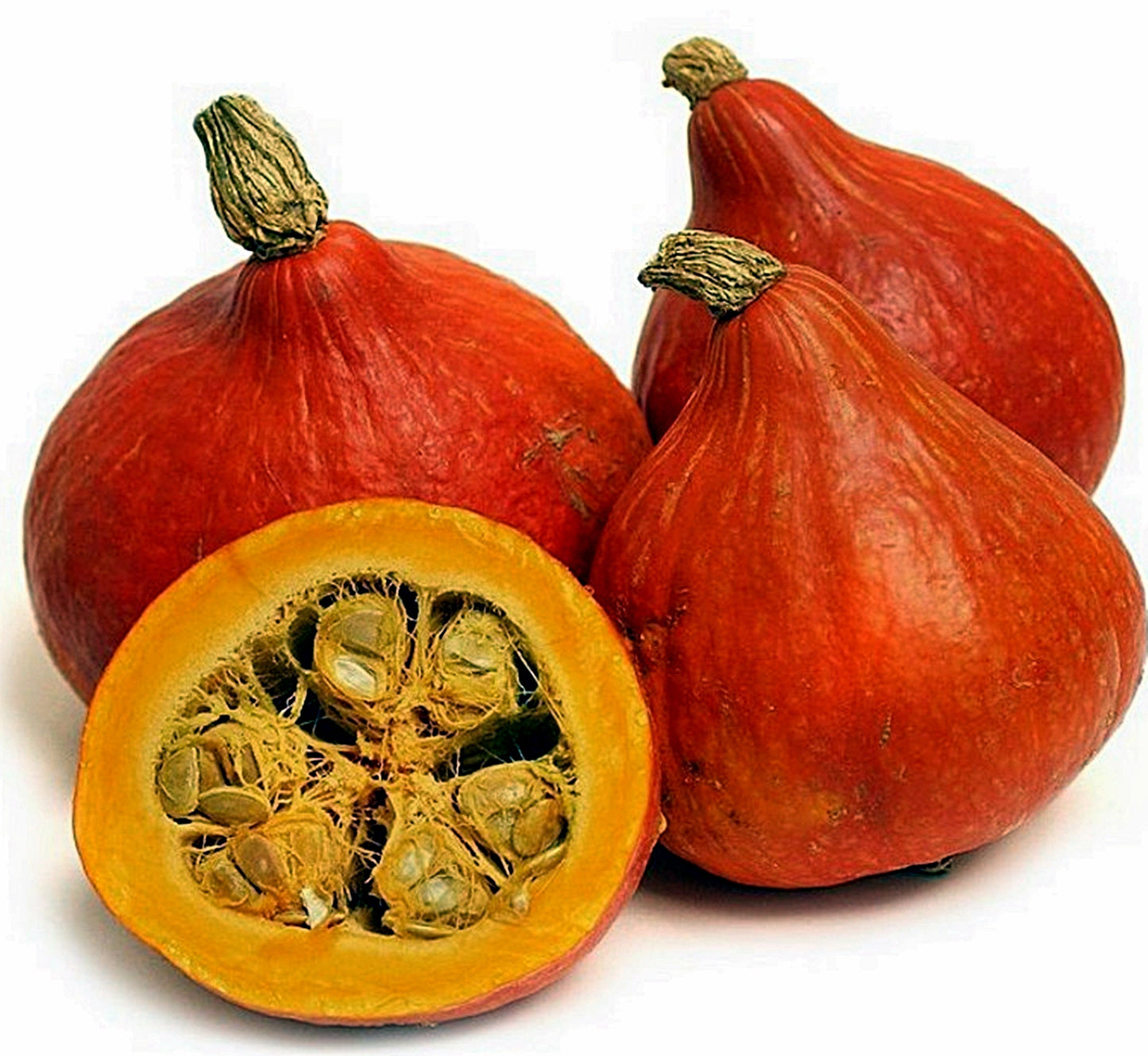 3 Seeds Red Kuri Squash, Japanese Orange Hokkaido Pumpkin, Natural, Non GMO