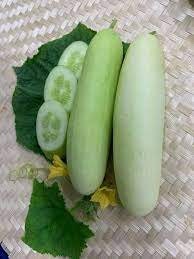 10 Seeds White Large Cucumber, Large Fruits, Sweet, Crisp, Delicious Flesh, Thai Vegetable, Non GMO