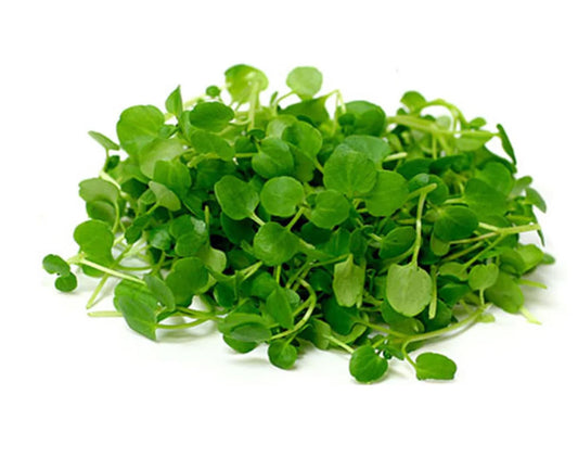 250 Seeds Natural Watercress Seeds, Natural Water Cress, Non GMO, Heirloom, Easy To Grow