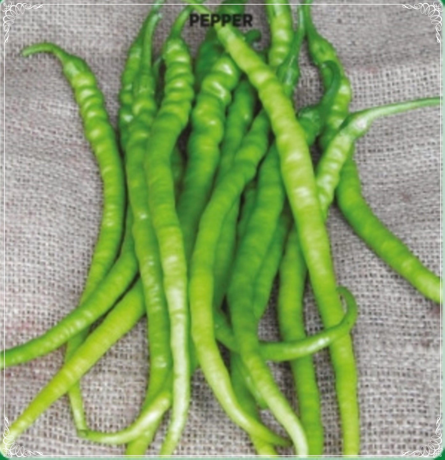100 Seeds Hot Capsicum Pepper Seed, Bitter Slim Chili, Natural, Non GMO, Heirloom