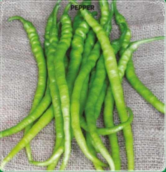 100 Seeds Hot Capsicum Pepper Seed, Bitter Slim Chili, Natural, Non GMO, Heirloom