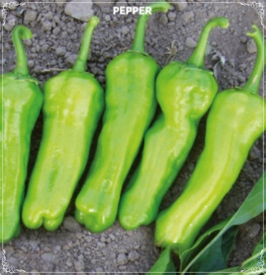 100 Seeds Cubanelle Sweet Pepper Seeds, Traditional Bell Pepper, Natural, Non GMO, Heirloom, Capsicum Annuum