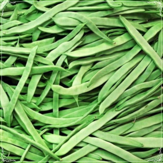 20 Seeds Pole Helda Boneless Bean Seed, Natural, Non GMO, Heirloom, Easy To Grow