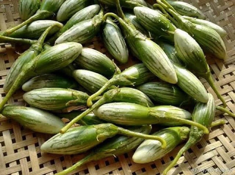 20 Seeds Rugby Frog Eggplant, Green Drop Thai Green Eggplant, Natural, Non GMO