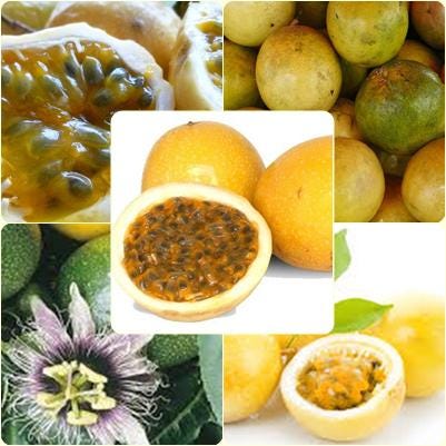 10 Seeds Yellow Passion Fruit, Passiflora, Maracuya, Natural, Non GMO, Heirloom