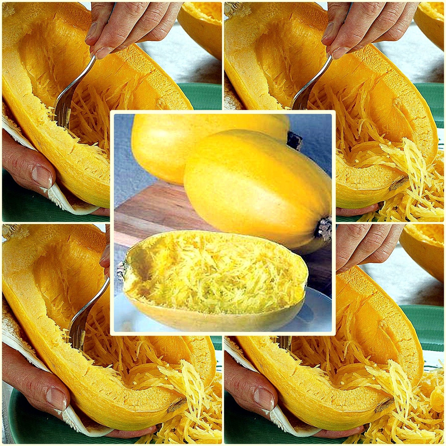 5 Seeds Spaghetti Squash Pumpkin, Cucuzza, Natural, Non GMO