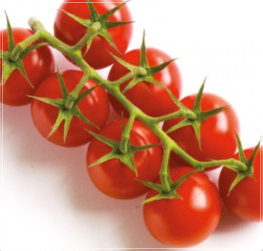 50 Seeds Cherry Ping Pong Tomato Seed, Natural, Non GMO, Heirloom, Easy To Grow
