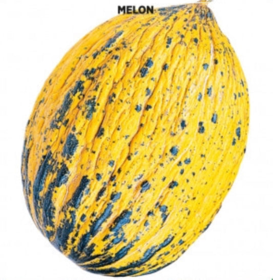 50 Seeds Santa Claus Melon, Mediterranean Striped Melon Seed, Vegetable, Natural, Non GMO, Heirloom