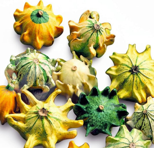 5 Seeds Crown of Thorns Shenot Gourd Seeds, Heirloom Non‑GMO Ornamental Gourds for Decorative Fall Displays and Crafting