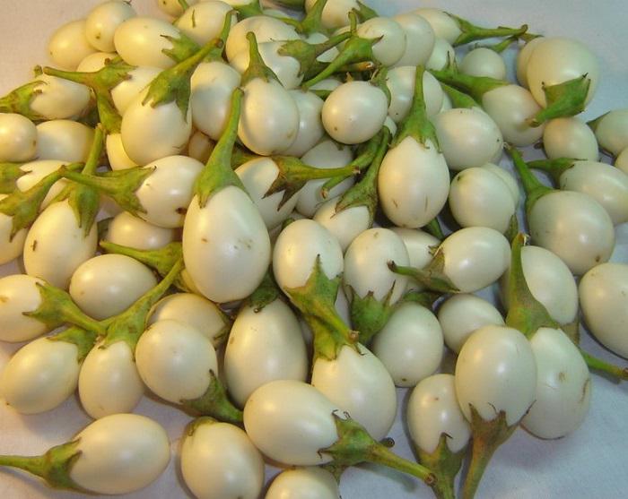50 Seeds White Eggplant Seeds, Thai Round Eggplant Natural, Non GMO, Heirloom