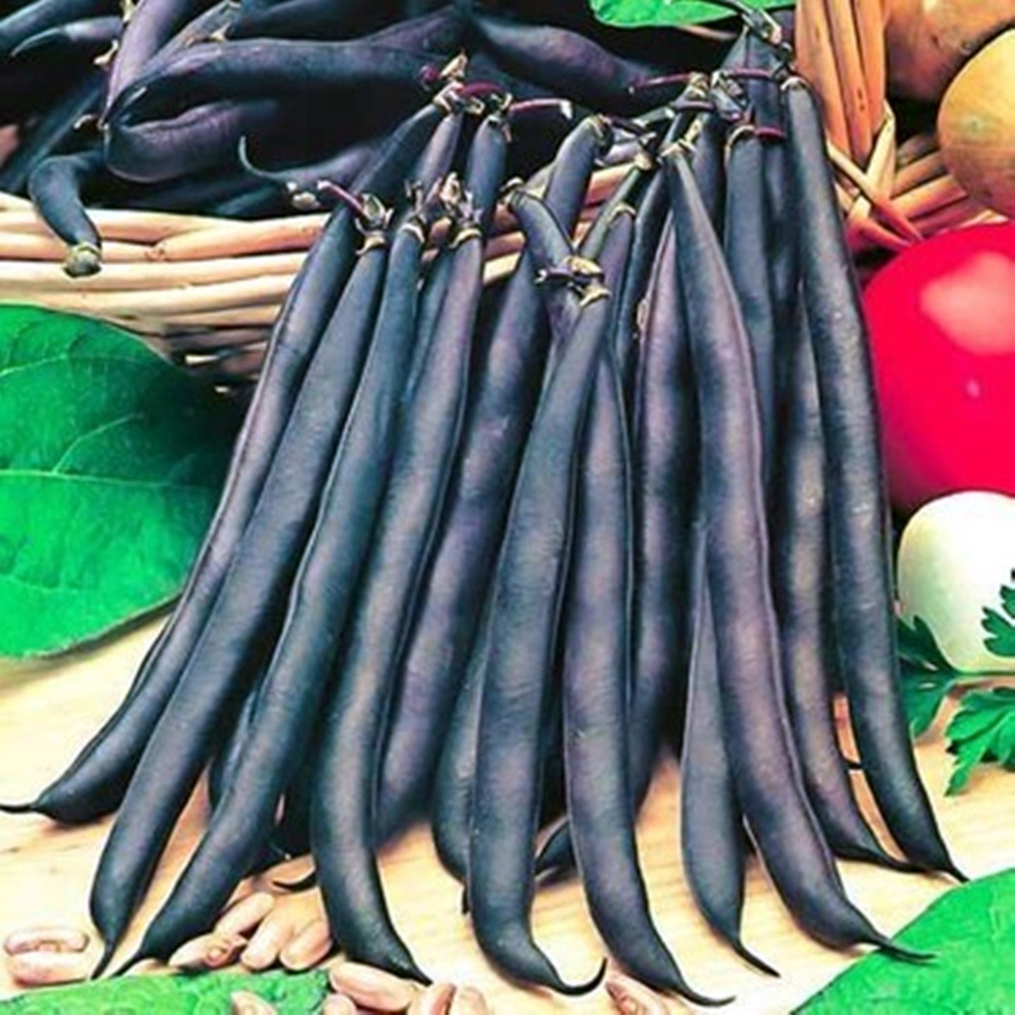 5 Seeds Black Bean Seed, Mini Black Bean, Natural, Non GMO, Heirloom