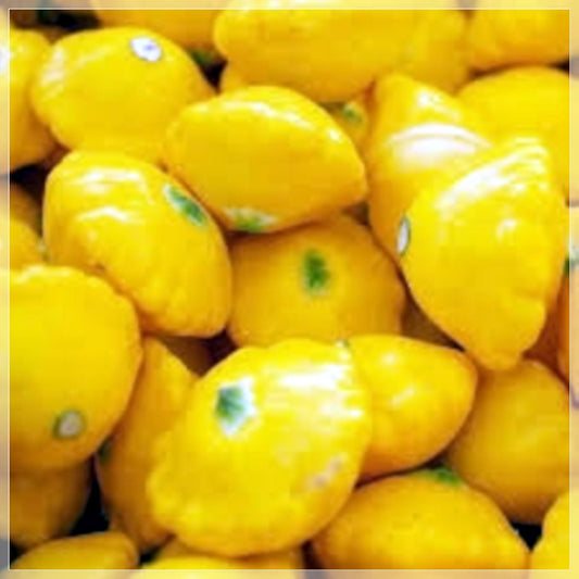 5 Seeds Yellow Bush Scallop Summer Squash Seeds, Pattypan, Vegetable, Natural, Non GMO, Heirloom