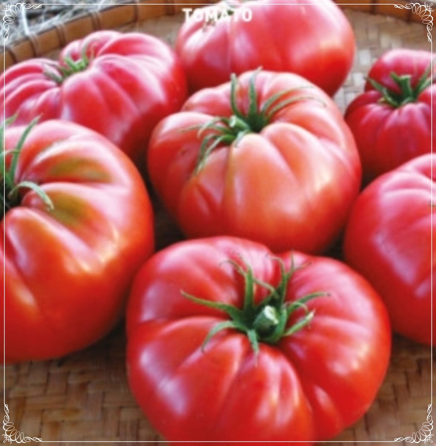 50 Seeds Village Type Tomato Seed, Natural, Non GMO, Heirloom, Easy To Grow