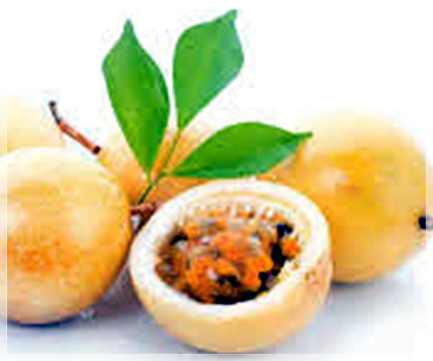 10 Seeds Yellow Passion Fruit, Passiflora, Maracuya, Natural, Non GMO, Heirloom