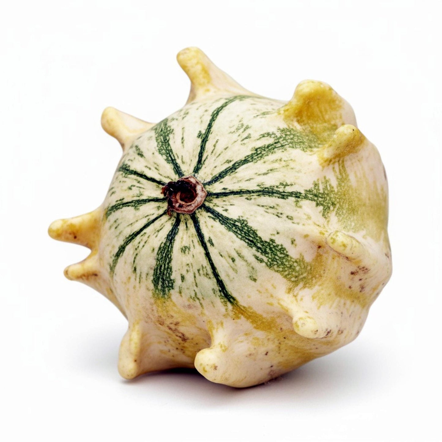 5 Seeds Crown of Thorns Shenot Gourd Seeds, Heirloom Non‑GMO Ornamental Gourds for Decorative Fall Displays and Crafting