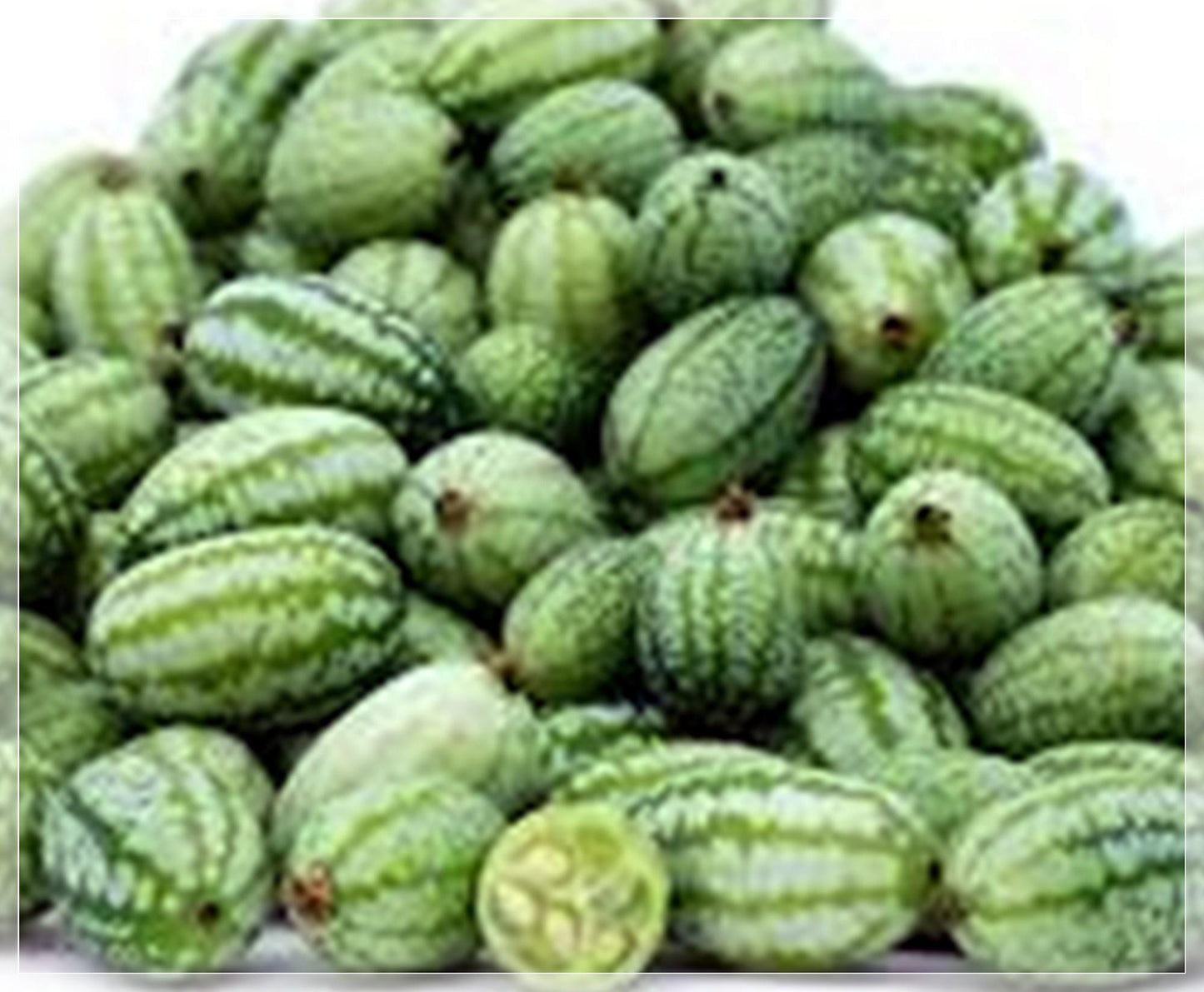 10 Seeds Watermelon Cucumber Seeds, Cucamelon, Miniature Mexican Sour Gherkin, Mouse Melon, Edible, Pickling, Natural