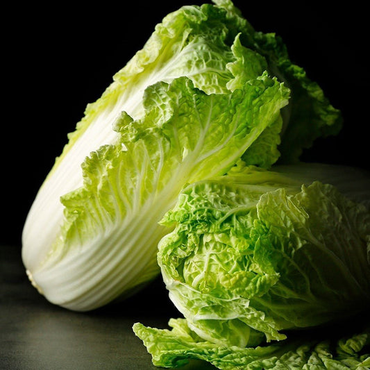 1000 Seeds Cosberg Sweet Lettuce Seed Natural, Non GMO, Heirloom
