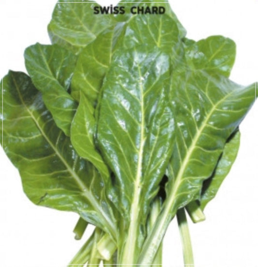 100 Seeds Broad Leaf Chard Seed, Swiss Chard, Vegetable Foliage, Mangold, Natural, Non GMO, Heirloom